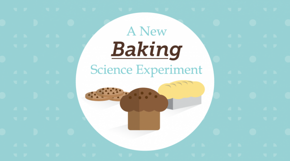 A New Baking Science Experiment - Eggless Cake