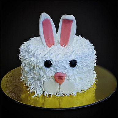 Floppy Ears Bunny Cake - Wilton